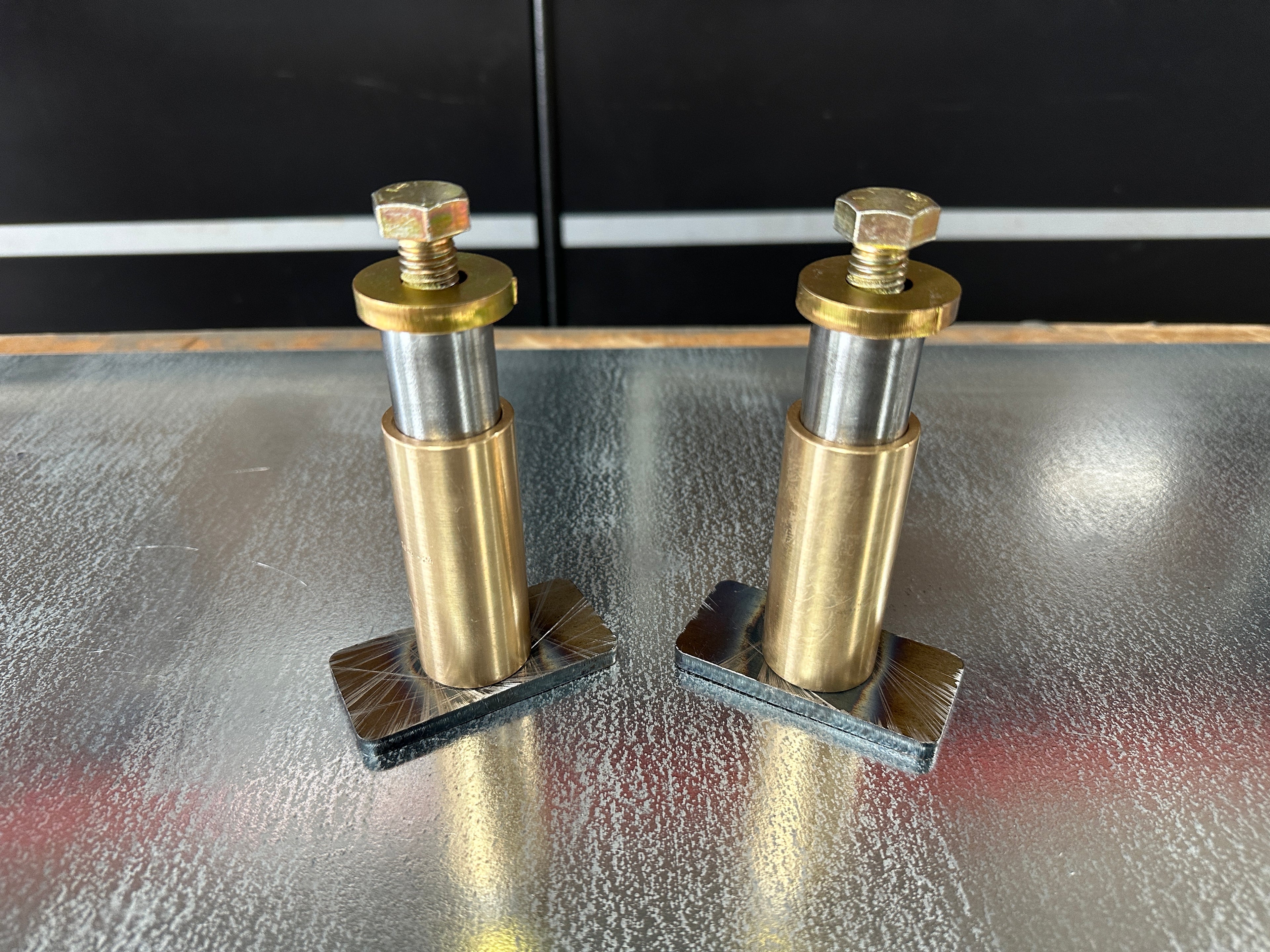 WE - Eagle Pins